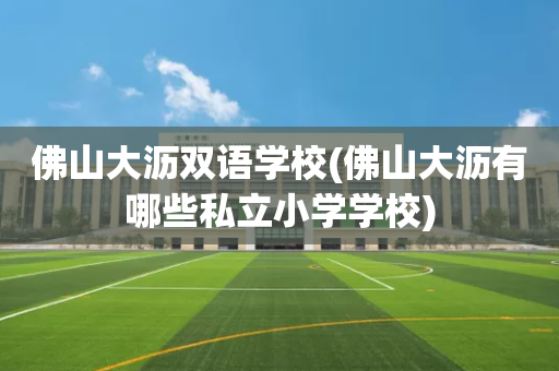 佛山大沥双语学校(佛山大沥有哪些私立小学学校)