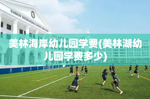 美林海岸幼儿园学费(美林湖幼儿园学费多少)