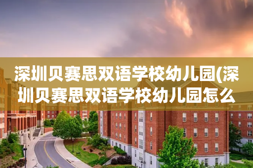 深圳贝赛思双语学校幼儿园(深圳贝赛思双语学校幼儿园怎么样)