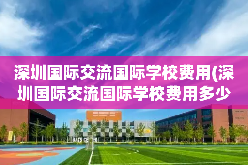 深圳国际交流国际学校费用(深圳国际交流国际学校费用多少钱)
