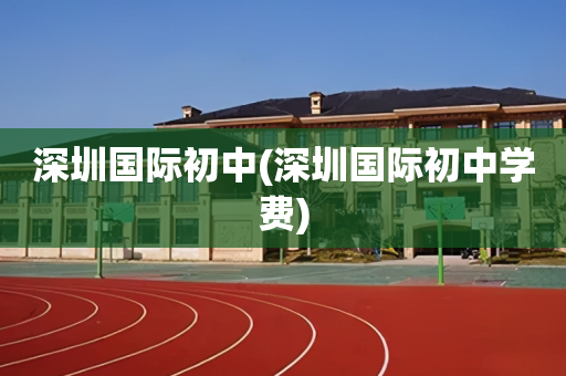 深圳国际初中(深圳国际初中学费)