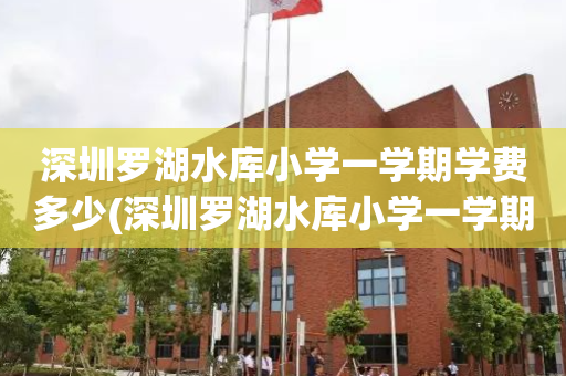 深圳罗湖水库小学一学期学费多少(深圳罗湖水库小学一学期学费多少元)