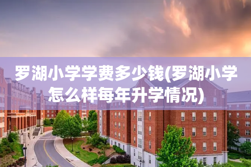 罗湖小学学费多少钱(罗湖小学怎么样每年升学情况)