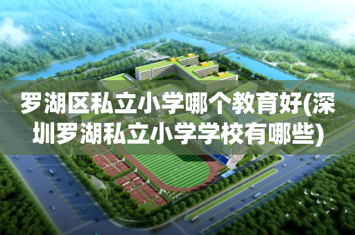 罗湖区私立小学哪个教育好(深圳罗湖私立小学学校有哪些)