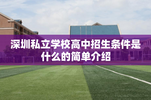 深圳私立学校高中招生条件是什么的简单介绍