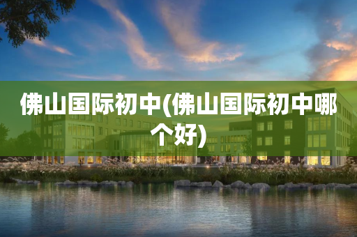 佛山国际初中(佛山国际初中哪个好)
