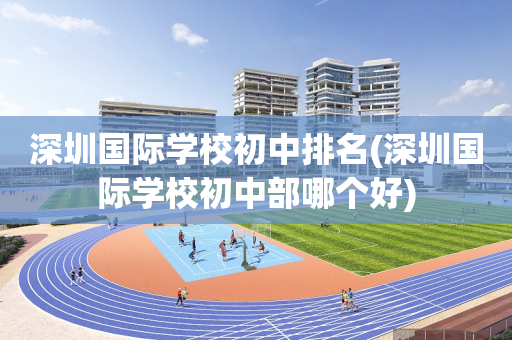深圳国际学校初中排名(深圳国际学校初中部哪个好)