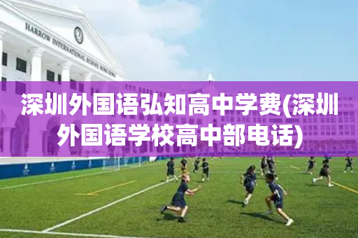深圳外国语弘知高中学费(深圳外国语学校高中部电话)