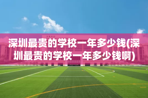 深圳最贵的学校一年多少钱(深圳最贵的学校一年多少钱啊)