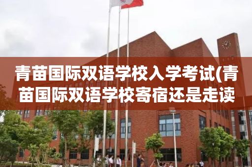 青苗国际双语学校入学考试(青苗国际双语学校寄宿还是走读)