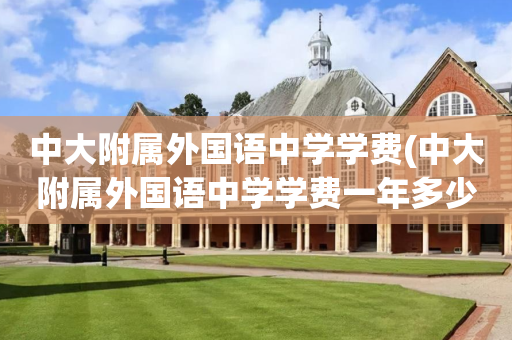 中大附属外国语中学学费(中大附属外国语中学学费一年多少)