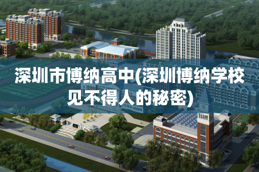 深圳市博纳高中(深圳博纳学校见不得人的秘密)