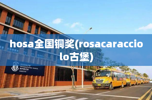 hosa全国铜奖(rosacaracciolo古堡)