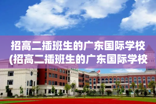 招高二插班生的广东国际学校(招高二插班生的广东国际学校有哪几所)