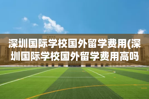 深圳国际学校国外留学费用(深圳国际学校国外留学费用高吗)