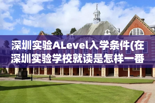 深圳实验ALevel入学条件(在深圳实验学校就读是怎样一番体验)