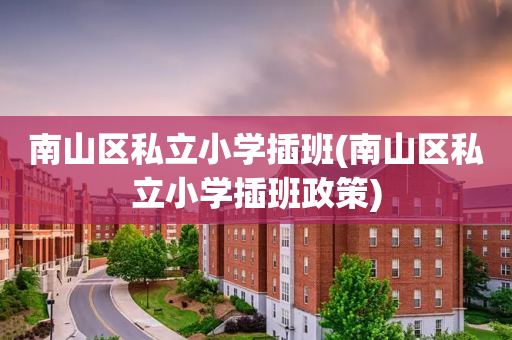 南山区私立小学插班(南山区私立小学插班政策)