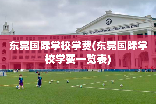 东莞国际学校学费(东莞国际学校学费一览表)