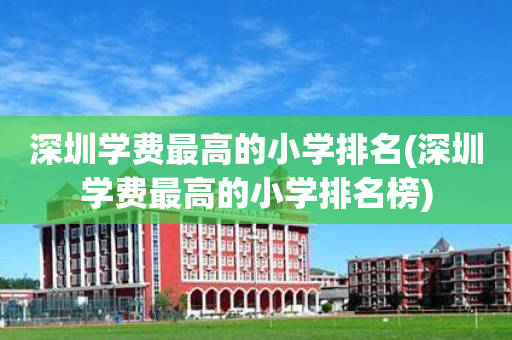 深圳学费最高的小学排名(深圳学费最高的小学排名榜)
