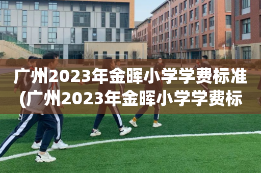 广州2023年金晖小学学费标准(广州2023年金晖小学学费标准表)