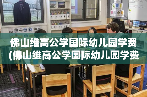 佛山维高公学国际幼儿园学费(佛山维高公学国际幼儿园学费多少钱)
