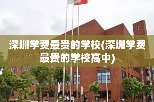 深圳学费最贵的学校(深圳学费最贵的学校高中)