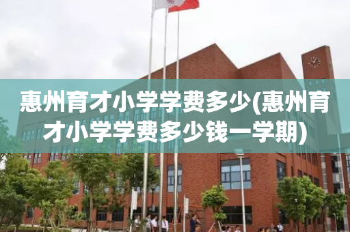惠州育才小学学费多少(惠州育才小学学费多少钱一学期)