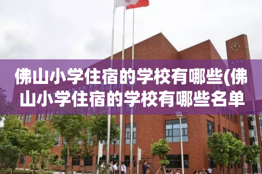 佛山小学住宿的学校有哪些(佛山小学住宿的学校有哪些名单)