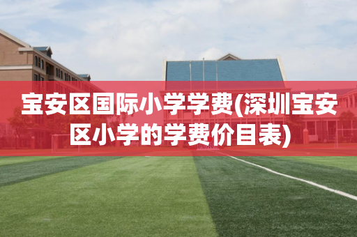 宝安区国际小学学费(深圳宝安区小学的学费价目表)