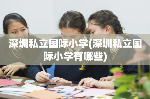 深圳私立国际小学(深圳私立国际小学有哪些)