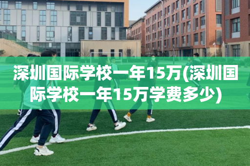 深圳国际学校一年15万(深圳国际学校一年15万学费多少)