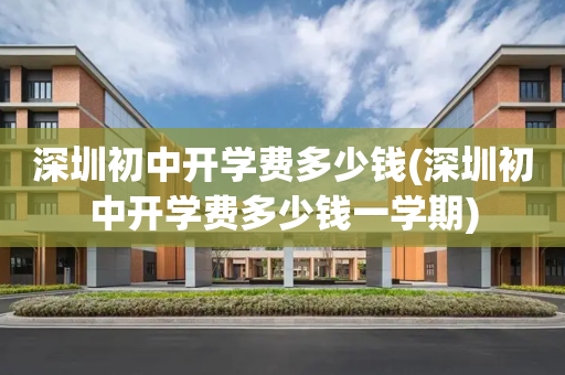 深圳初中开学费多少钱(深圳初中开学费多少钱一学期)