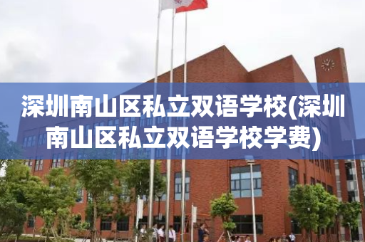 深圳南山区私立双语学校(深圳南山区私立双语学校学费)