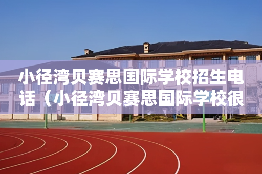小径湾贝赛思国际学校招生电话（小径湾贝赛思国际学校很不好）