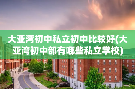 大亚湾初中私立初中比较好(大亚湾初中部有哪些私立学校)