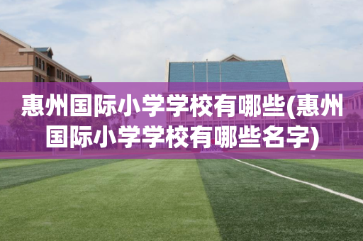 惠州国际小学学校有哪些(惠州国际小学学校有哪些名字)
