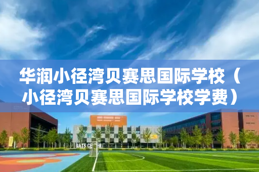 华润小径湾贝赛思国际学校（小径湾贝赛思国际学校学费）