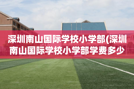 深圳南山国际学校小学部(深圳南山国际学校小学部学费多少)