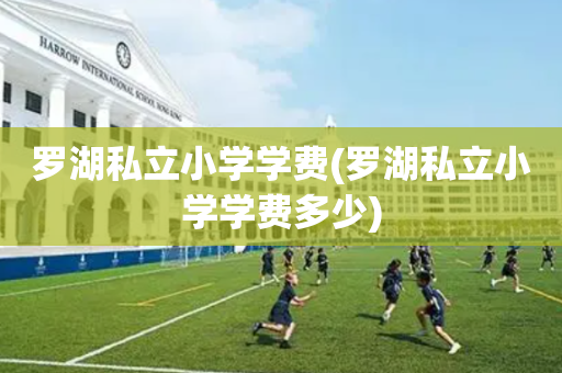 罗湖私立小学学费(罗湖私立小学学费多少)