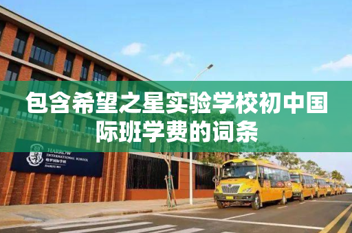 包含希望之星实验学校初中国际班学费的词条
