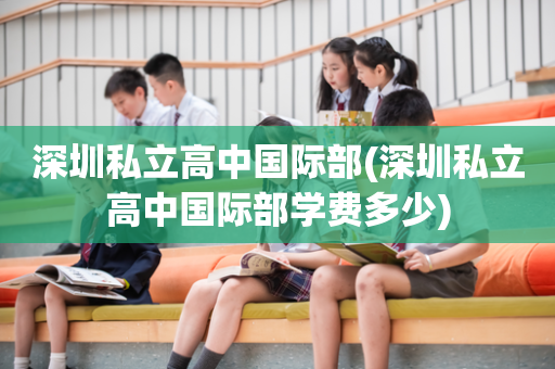 深圳私立高中国际部(深圳私立高中国际部学费多少)