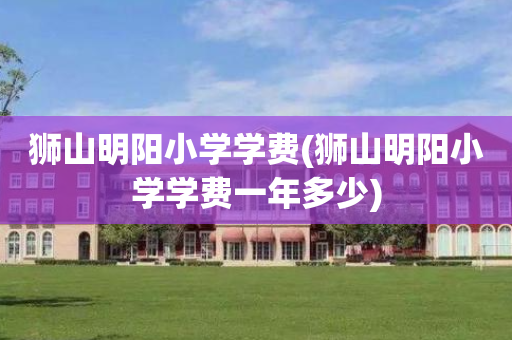 狮山明阳小学学费(狮山明阳小学学费一年多少)