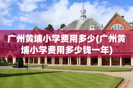 广州黄埔小学费用多少(广州黄埔小学费用多少钱一年)