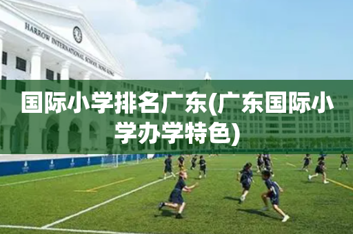 国际小学排名广东(广东国际小学办学特色)