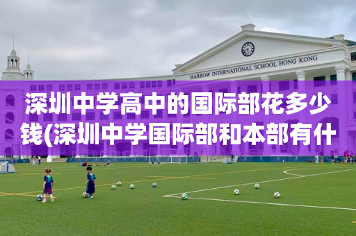 深圳中学高中的国际部花多少钱(深圳中学国际部和本部有什么区别?)