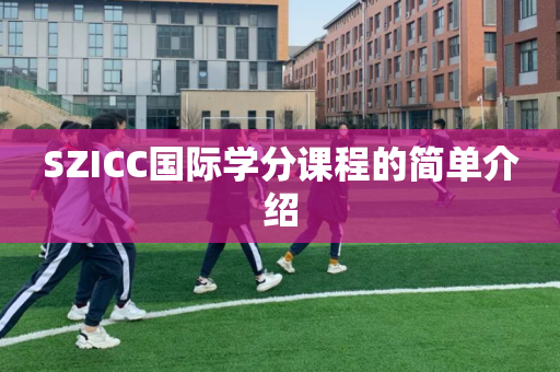 SZICC国际学分课程的简单介绍