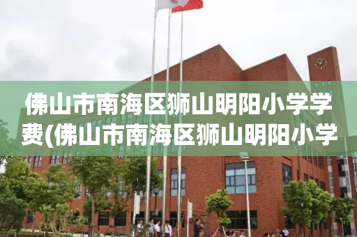 佛山市南海区狮山明阳小学学费(佛山市南海区狮山明阳小学学费多少)