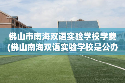 佛山市南海双语实验学校学费(佛山南海双语实验学校是公办还是民办)