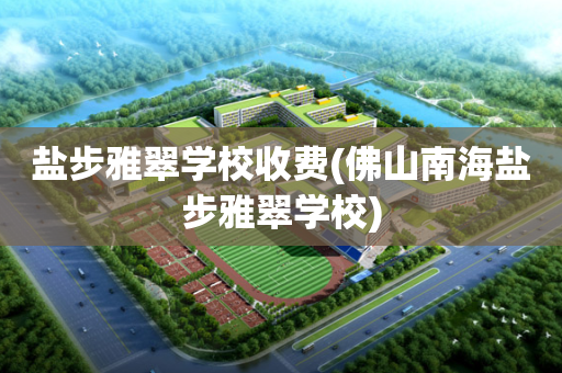 盐步雅翠学校收费(佛山南海盐步雅翠学校)