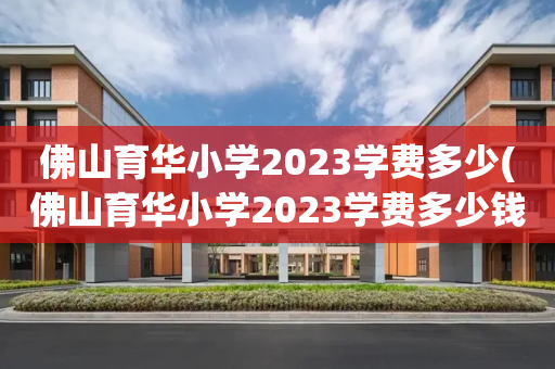 佛山育华小学2023学费多少(佛山育华小学2023学费多少钱)